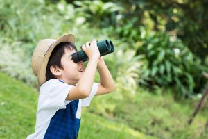 Lợi Ích Tuyệt Vời Từ Những Chuyến Dạo Chơi Ngoài Thiên Nhiên - Mầm Non Hải Yến - Trương Định