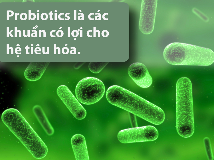 Những Lợi Ích Của Probiotics Cho Bé Yêu - Mầm Non Hải Yến - Trương Định