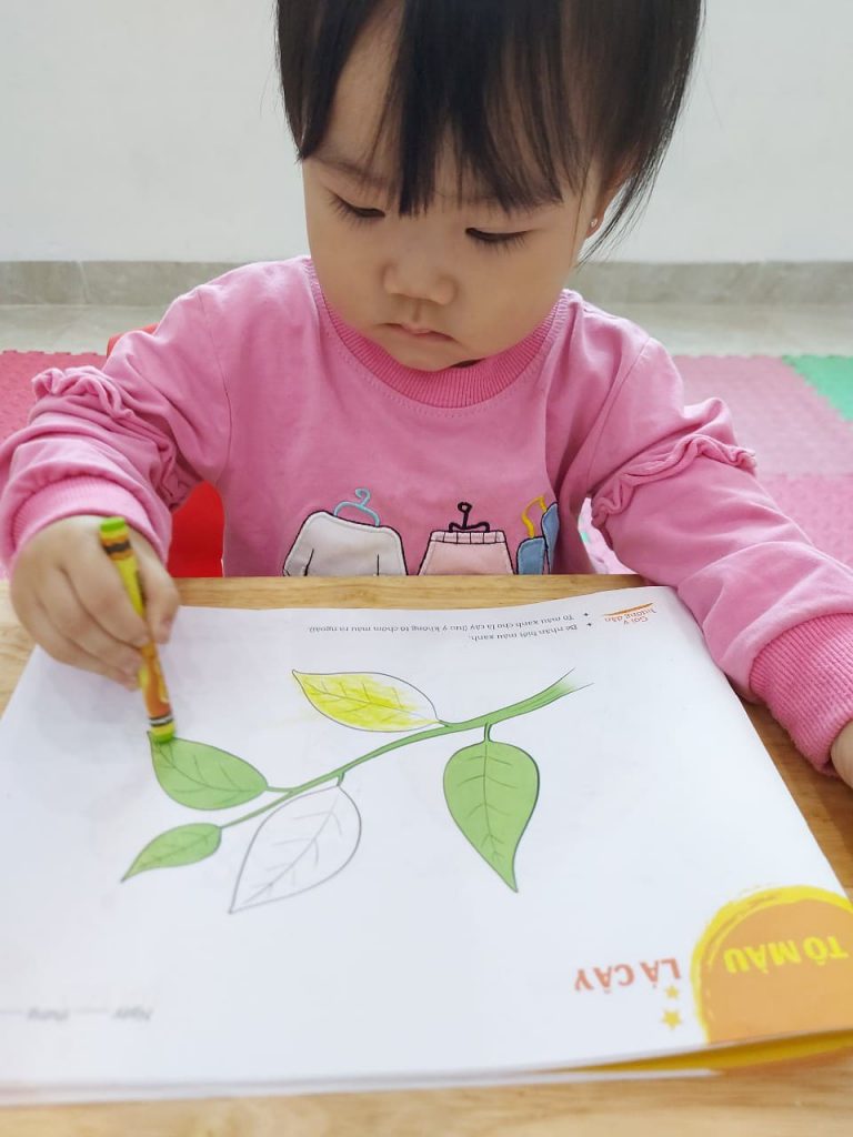 Nghệ thuật tô màu: Cây xanh làm phong phú thế giới của bé