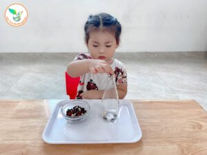 Hoạt Động Montessori Thả Hạt Vào Lọ - Mầm Non Hải Yến - Trương Định