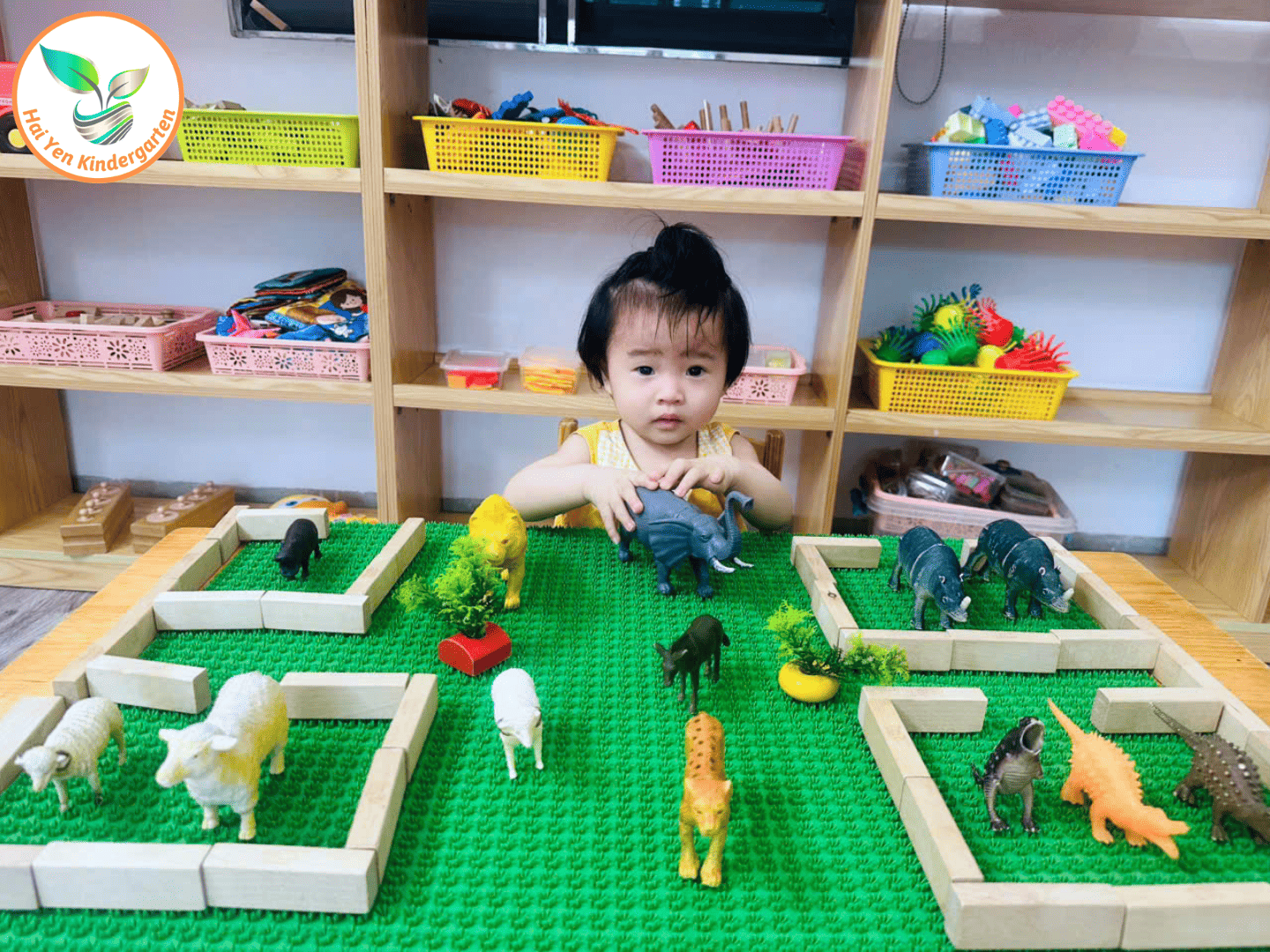 KHÁM PHÁ CÁC LOẠI ĐỘNG VẬT SỐNG TRONG RỪNG KHÁM PHÁ CÁC LOẠI ĐỘNG VẬT SỐNG TRONG RỪNG - Mầm Non Hải Yến - Trương Định