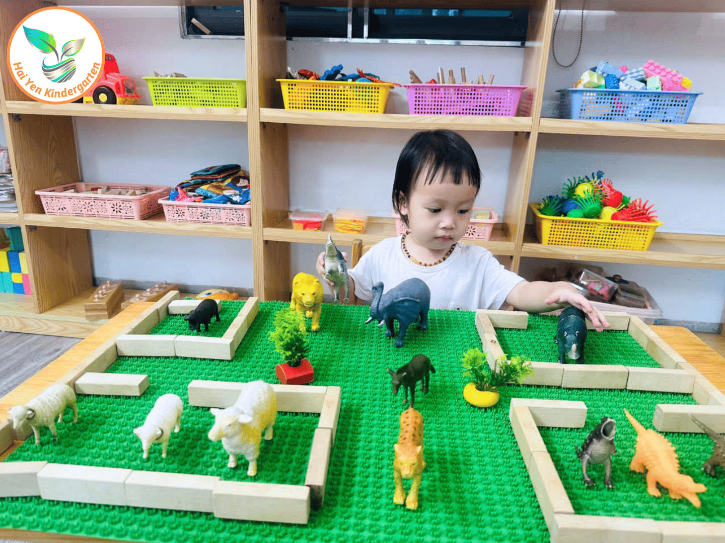 KHÁM PHÁ CÁC LOẠI ĐỘNG VẬT SỐNG TRONG RỪNG KHÁM PHÁ CÁC LOẠI ĐỘNG VẬT SỐNG TRONG RỪNG - Mầm Non Hải Yến - Trương Định